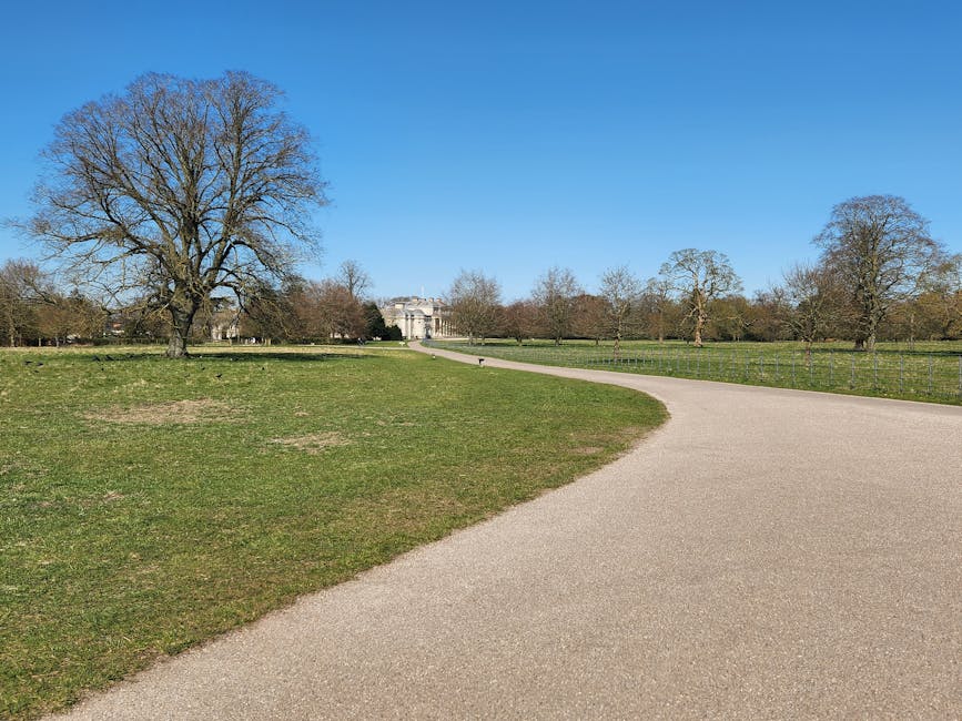 A wide gravel pathway curves through a park with green grass and several large, leafless trees under a clear blue sky. In the distance, a historic building with classical architecture is partially visible among the trees, indicating a scenic outdoor setting. The park appears spacious and well-maintained, suitable for walking or outdoor activities. The scene is well-lit with natural daylight. This outdoor landscape can be relevant for house removals to or from properties near Charlton Park, where tenants or homeowners might coordinate moving logistics in a visually appealing environment, as seen through the natural surroundings and open space. Man with Van Charlton provides local removal and furniture transport services that might operate within such scenic areas, supporting home relocation and packing and moving processes.