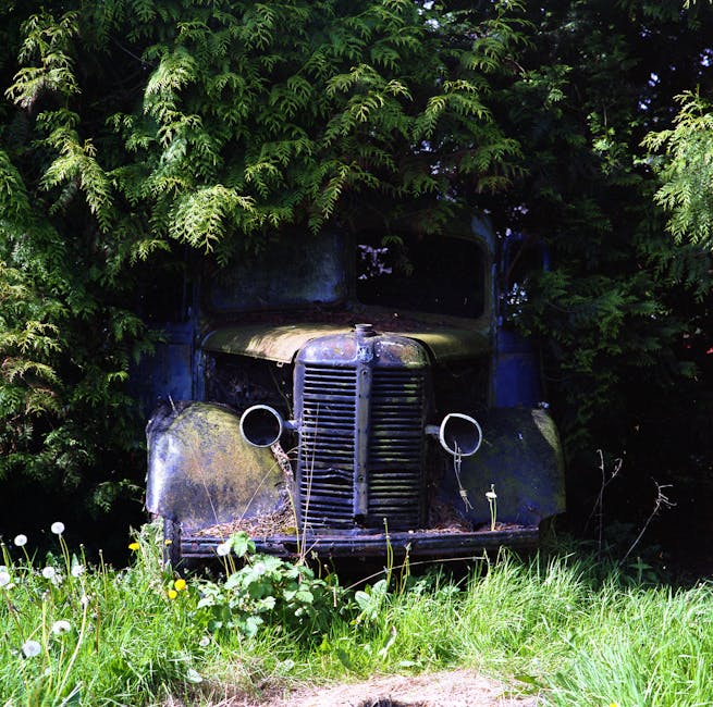 An old, rusted vintage truck with a faded blue and yellow paint job, partially obscured by dense green foliage and tree branches, sits on a grassy area. The front grille and headlights are visible, with the headlights missing their glass covers, and the vehicle appears to be abandoned and weathered over time. Bright green grass and small wildflowers grow in front of the truck, and the scene suggests an outdoor setting near a house or property. The image is taken in natural daylight, highlighting the condition of the vehicle and surrounding plants. This scene may be used to illustrate the concept of clearing out or transporting old items during home removals or house clearances, aligning with services offered by Man with Van Charlton.